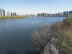 -长白岛森林公园