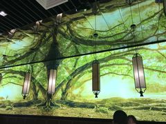 -大榕树下顺德菜(融创茂店)