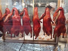 -顺城金记卤鸡·清真