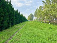 -汉长安城未央宫国家考古遗址公园