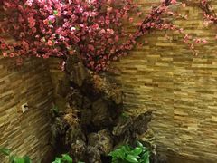 -鸥迪足道(老虎滩店)