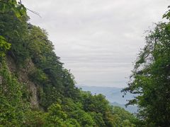 -王顺山国家森林公园