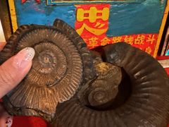 -吉祥圣雪藏餐