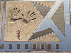 -星光大道