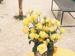 -柠檬花院烤肉·围炉煮茶·草坪团建·生日派对(三圣乡店)