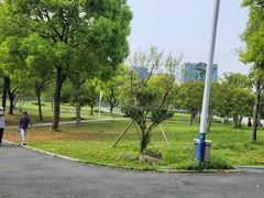 -大宁公园