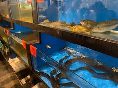 水产区-华盛丰温州大排档(东三环南路店)