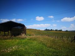 -怀托摩萤火虫洞