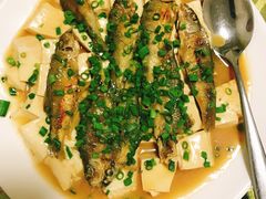 溪鱼焖豆腐-杨记新泉美食