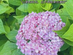 -陶然亭公园