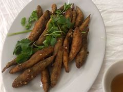 -老三鱼仔店