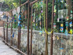 -北京西山国家森林公园