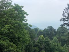 -青城山