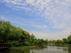 -新江湾城公园