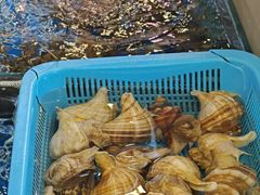 -桂园白粥·潮汕老味道