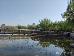 -莲花池公园