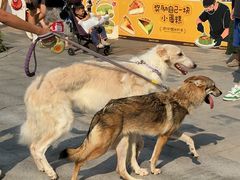 -龙湖杭州滨江天街