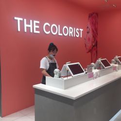 -THE COLORIST调色师