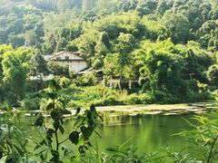 -峨眉山风景名胜区