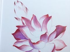 -八哥美术·成人美术画室(总校区)