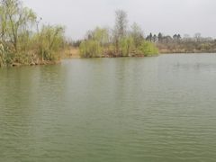 -白鹭湾湿地公园