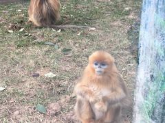 -西安秦岭野生动物园