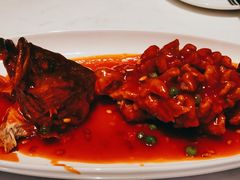 松鼠大桂鱼-绿波廊(豫园店)