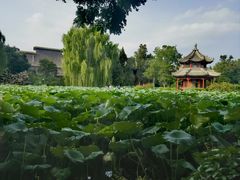 -莲池书院博物馆