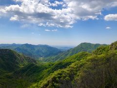 -大岭沟猕猴桃谷风景区