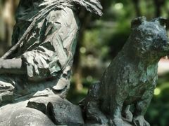 -大渡口区义渡公园