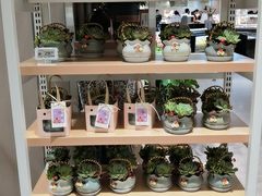 -坂田天虹