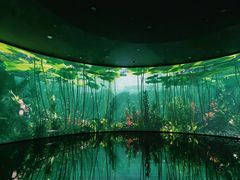 -中国湿地博物馆