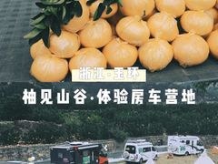 -漩门湾国家湿地公园