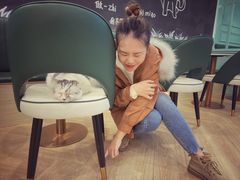 -安格丽娜·狗咖·猫咖羊驼咖(春熙路百盛商场店)