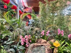 -沈阳植物园