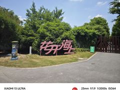 -花开海上生态园