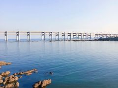 -星海湾跨海大桥