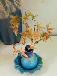 -宜肤清颜专业祛痘问题肌修护