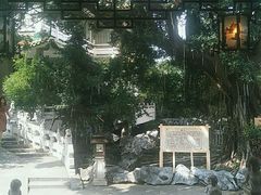 -东江渔村·古典园林·30年粤菜老字号(太和店)