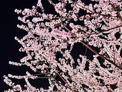 -华熙生物·润百颜ECM中心