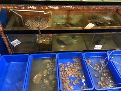 -QQ海鲜餐厅