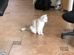 -青春加萌照相馆