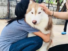 -TrueLove @ Neverland (Husky Cafe)