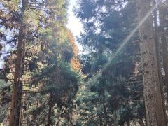 -罗田薄刀峰风景区