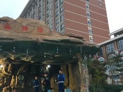 -灵玲国际马戏城