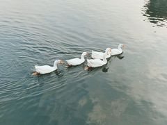 -西安汉城湖景区