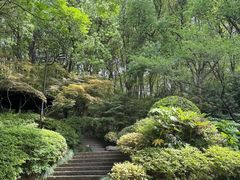 -杭州半山国家森林公园