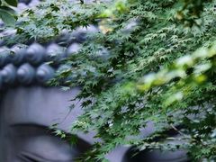 -杭州植物园