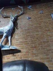 -尤米一站式美甲美睫