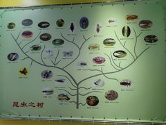 -上海昆虫博物馆